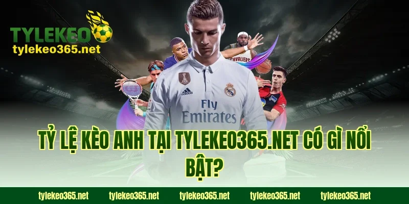 Tỷ lệ kèo Anh tại tylekeonhacai.news có gì nổi bật?